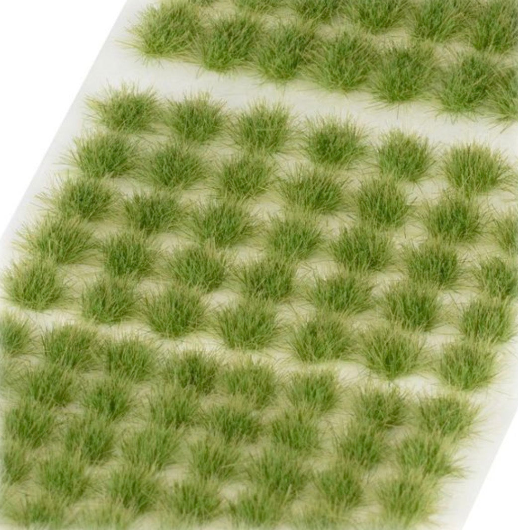 Verdia Veldt Tufts