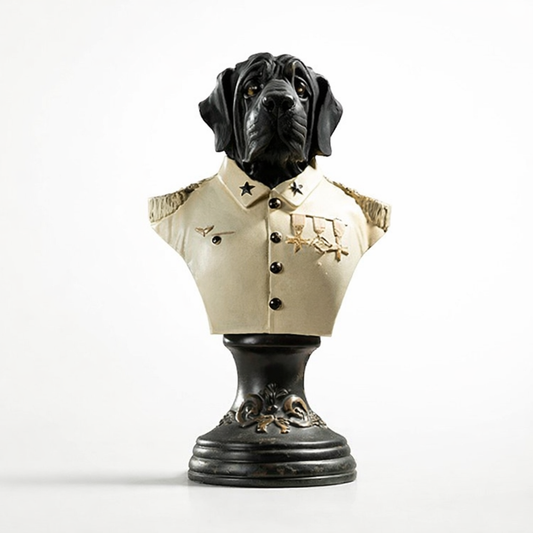 Captain Dog